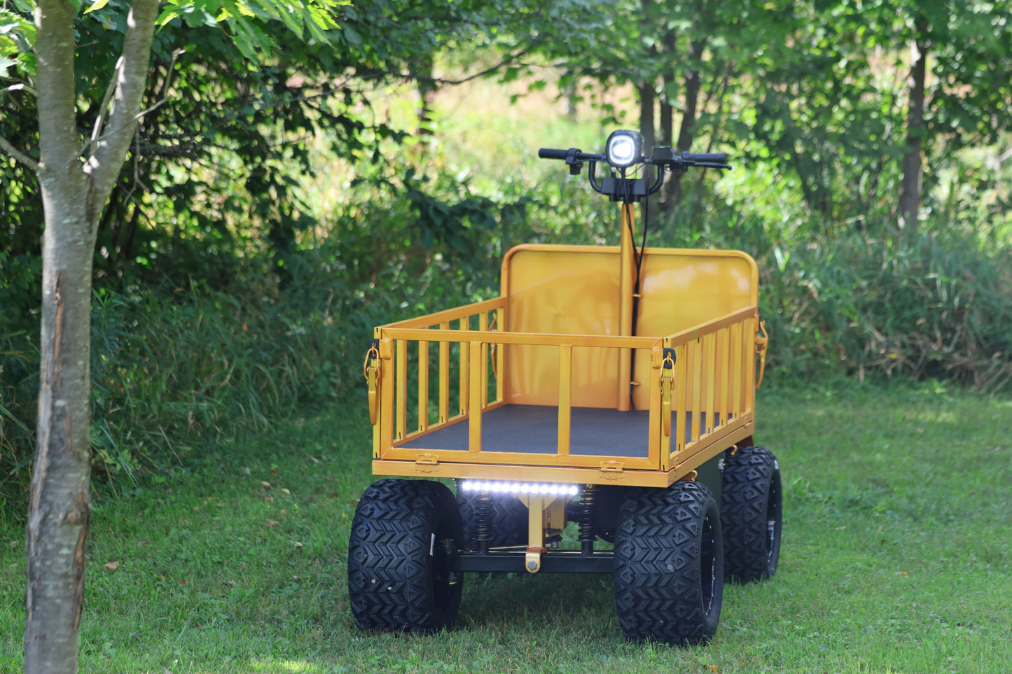 WAGGON  - Custom Model