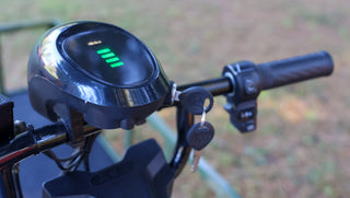 WAGGON™ Snow & Mud Edition