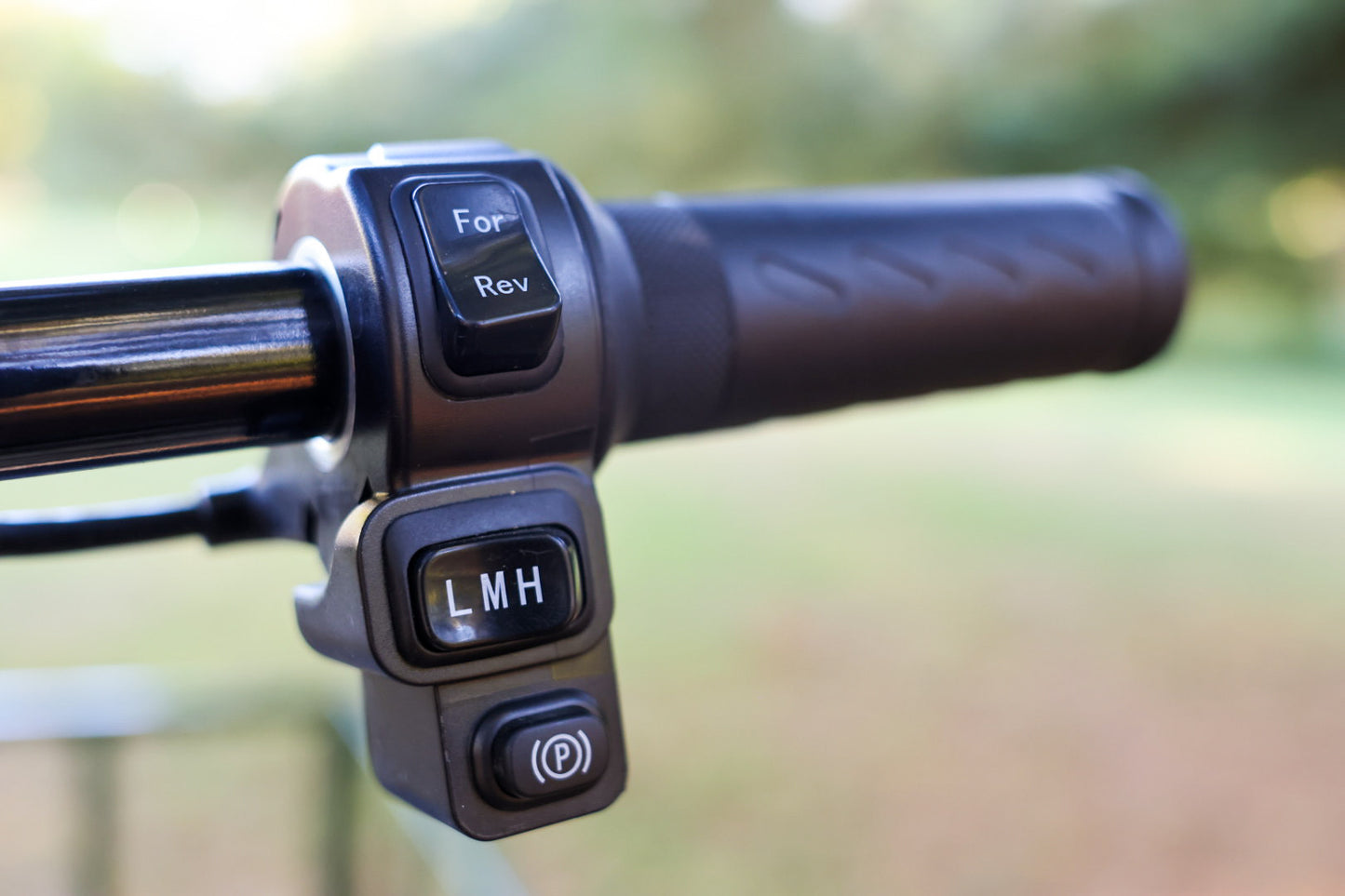 WAGGON  - Base Model