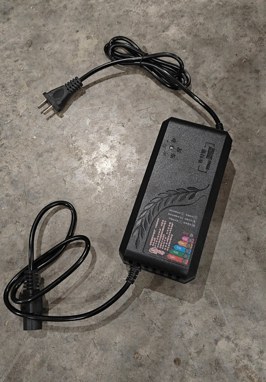 Waggon 48v Battery Charger